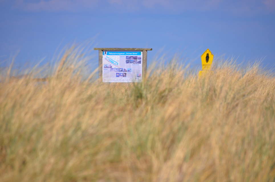 Naturschutzgebiet Grner Brink