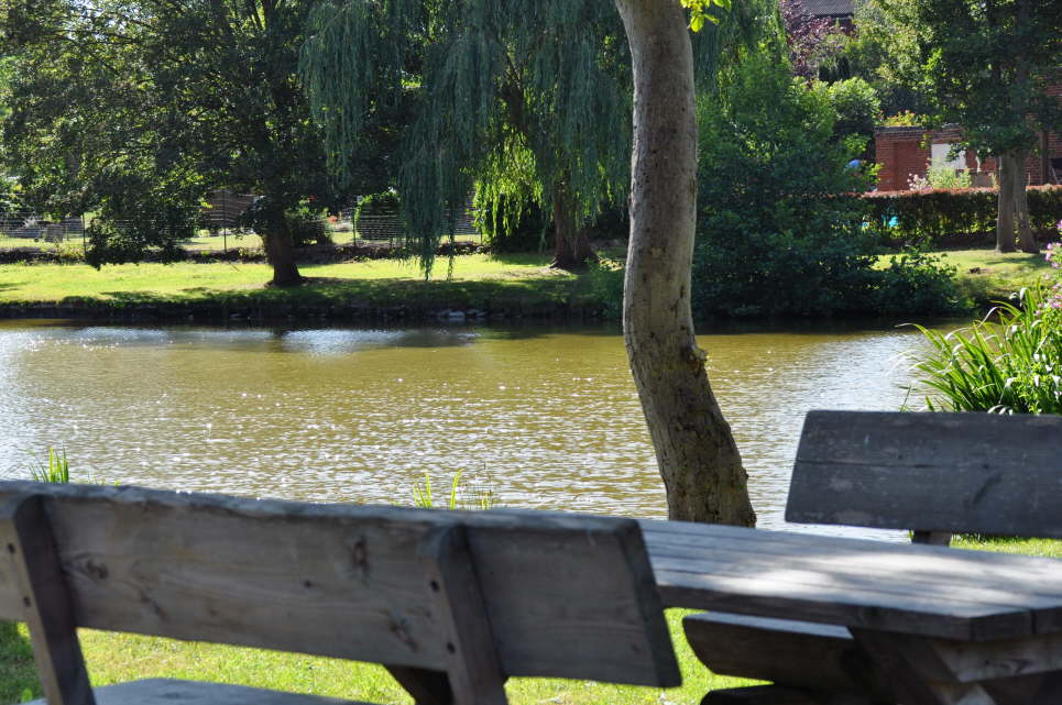 Dorfteich Dnschendorf