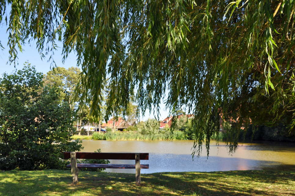 Dorfteich Dnschendorf