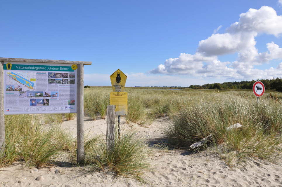 Naturschutzgebiet Grner Brink