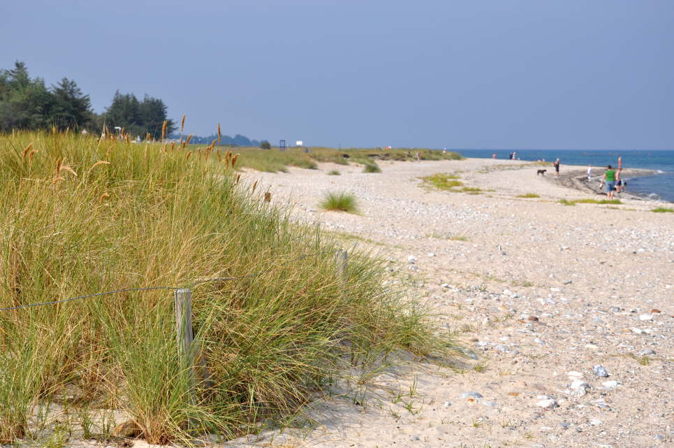 Strand beim Niobe Denkmal