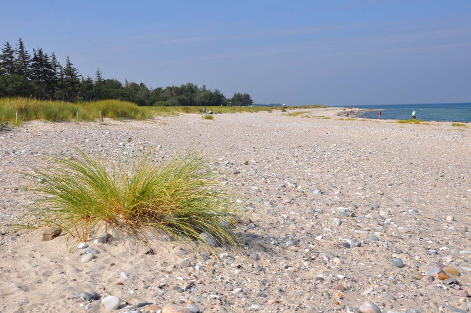 Strand beim Niobe Denkmal