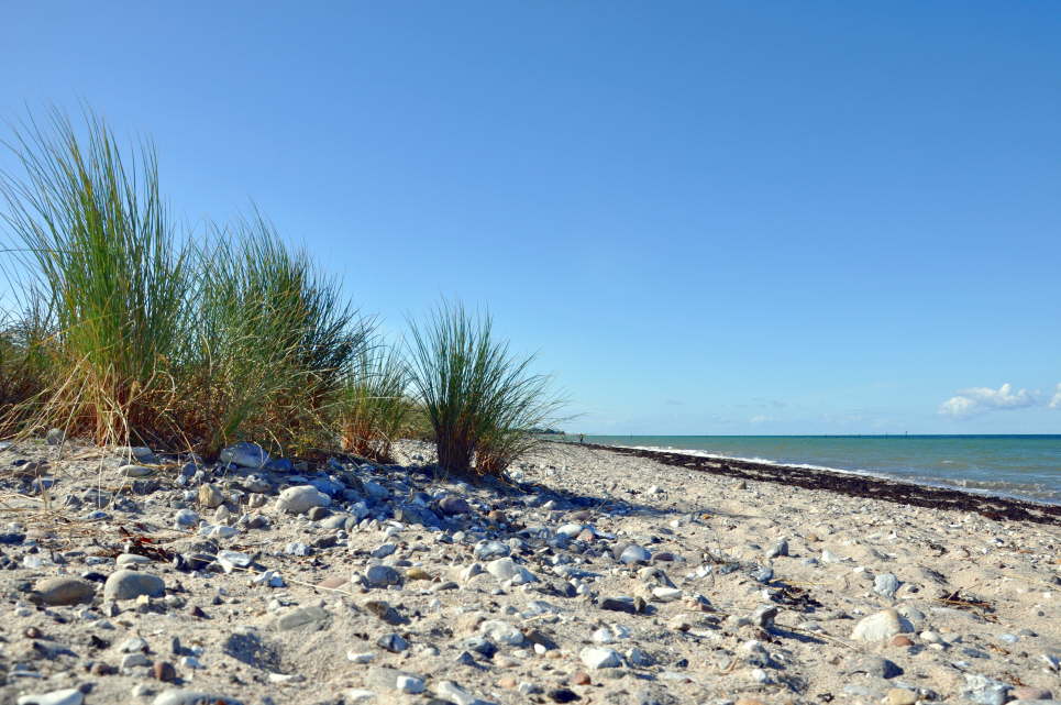 Strand Gammendorf2