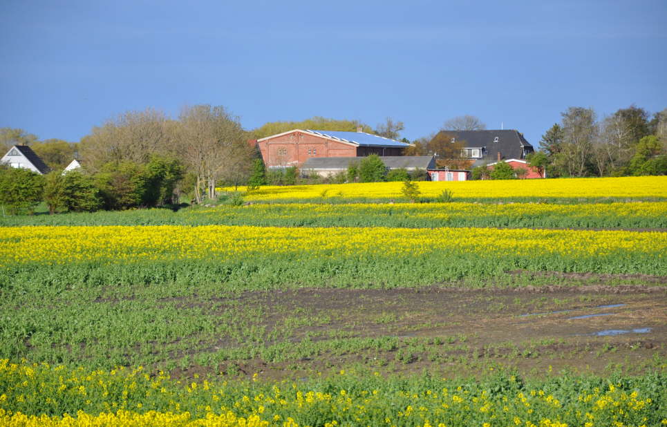 Albertsdorf vom Deich aus