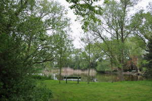 Albertsdorf Dorfteich
