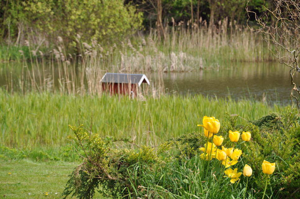 Dorfteich Albertsdorf