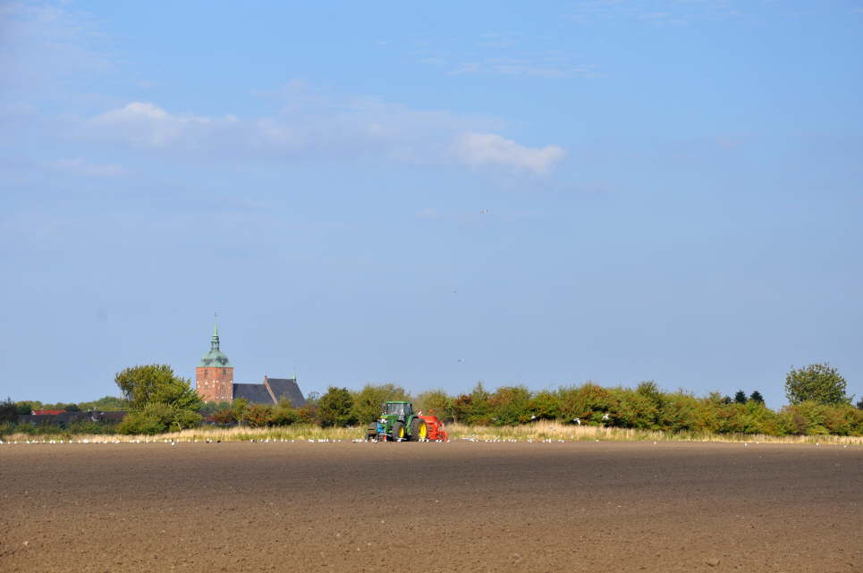 Landwirtschaft in Burg