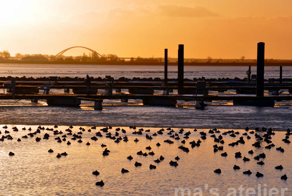 Burgstaaken Fischereihafen