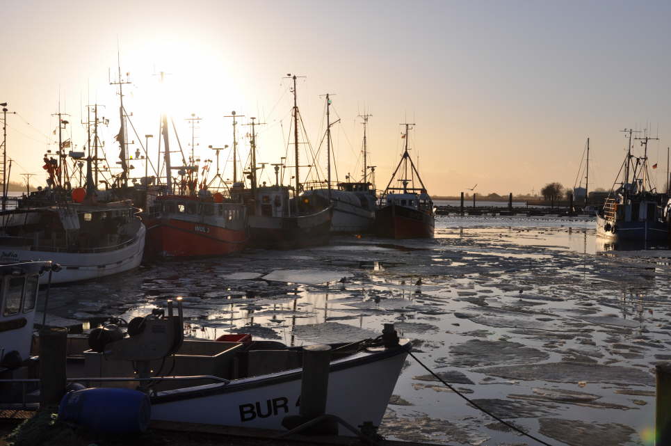 Burgstaaken Fischereihafen