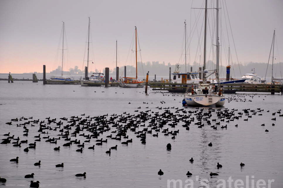 Yachthafen Burgstaaken