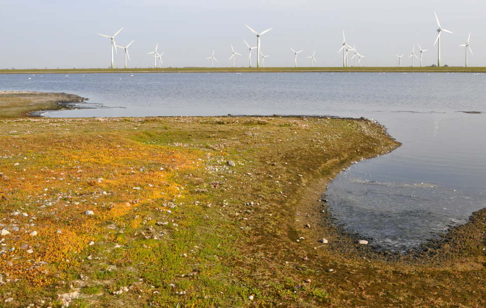 Fastensee bei Westermarkelsdorf