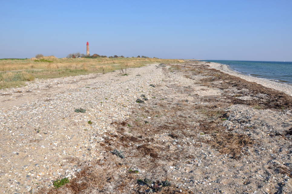 Strand beim Fl�ger Leuchtturm
