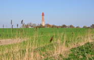 Leuchtturm Fl�gge nach Restaurierung