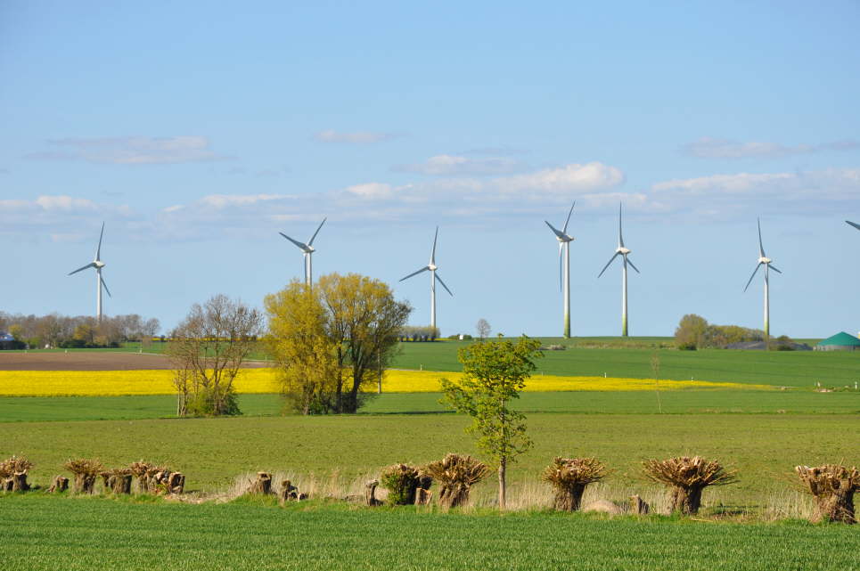 Windrder bei Gahlendorf