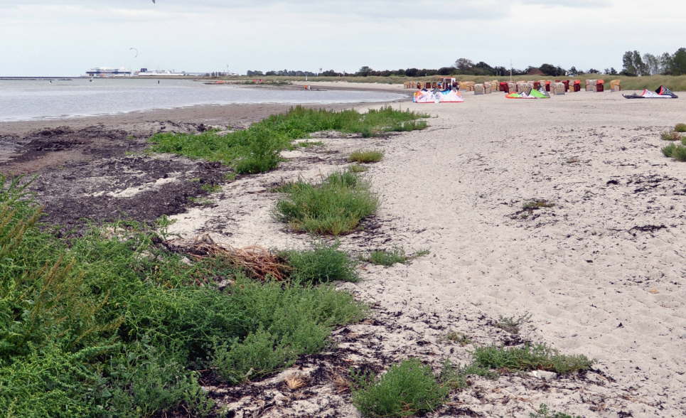 Strand Gr�ner Brink
