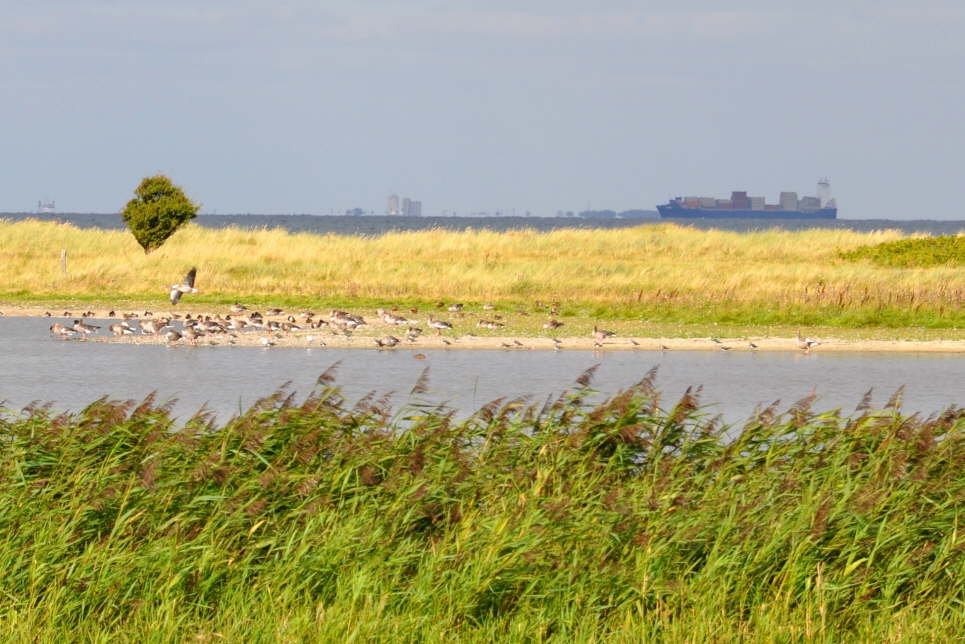 Naturschutzgebiet Gr�ner Brink
