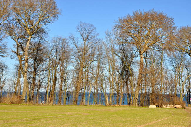 Katharinenhof