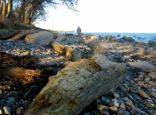 Ostkste bei Katharinenhof