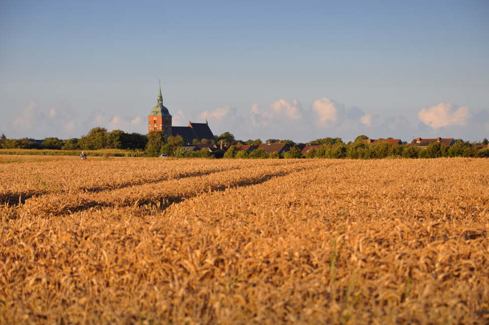 kirchemitkornfeld