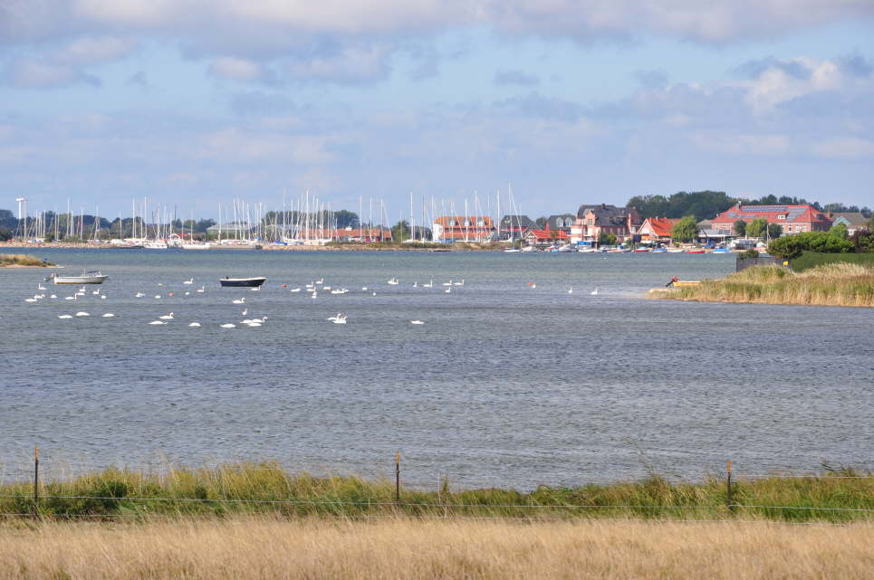 Blick von Westerbergen nach Lemkenhafen