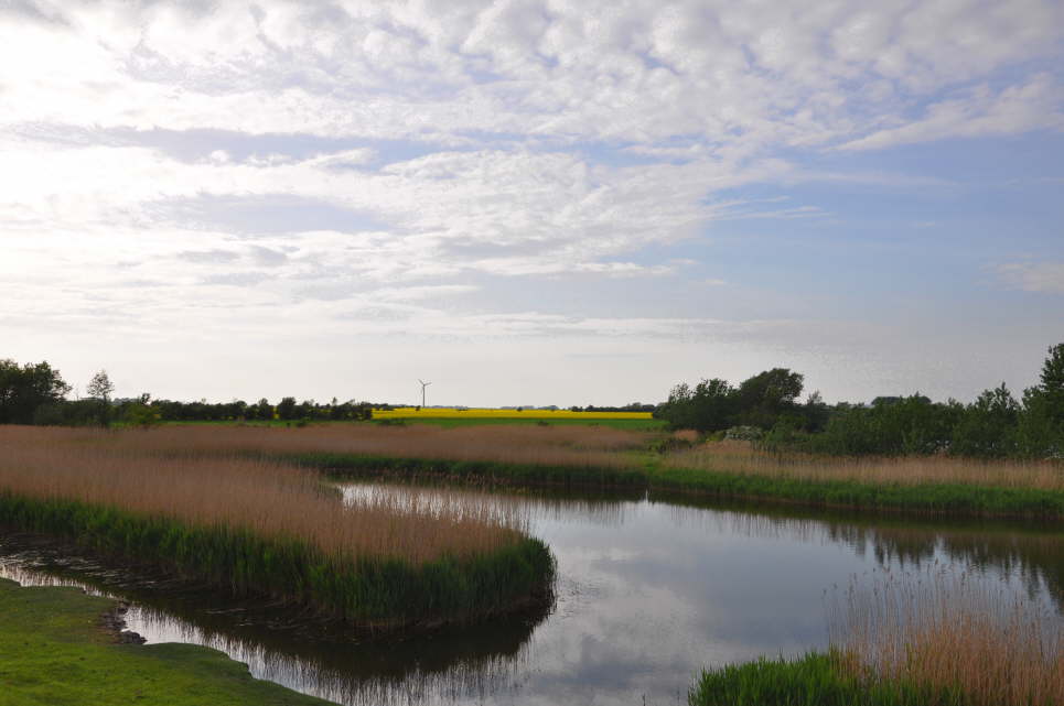 Lemkenhafen Richtung Orth