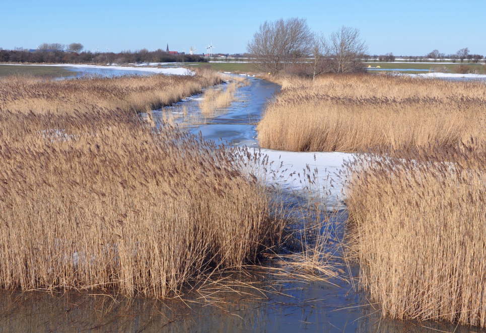 Lemkenhafen mit Blick auf Petersdorf