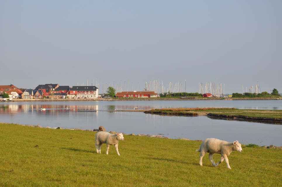 Lemkenhafen beim Spitzenorth