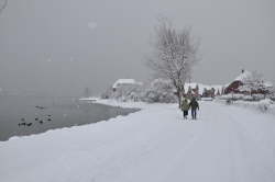 Am Ortseingang von Lemkenhafen im Winter