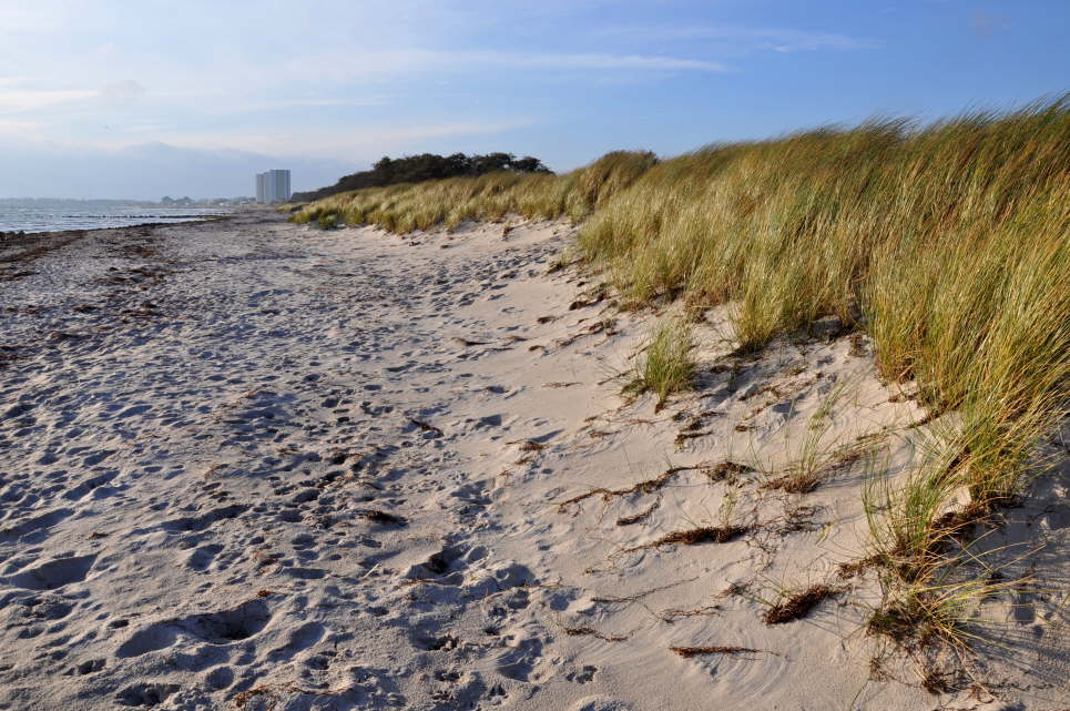 Meschendorf im Herbst