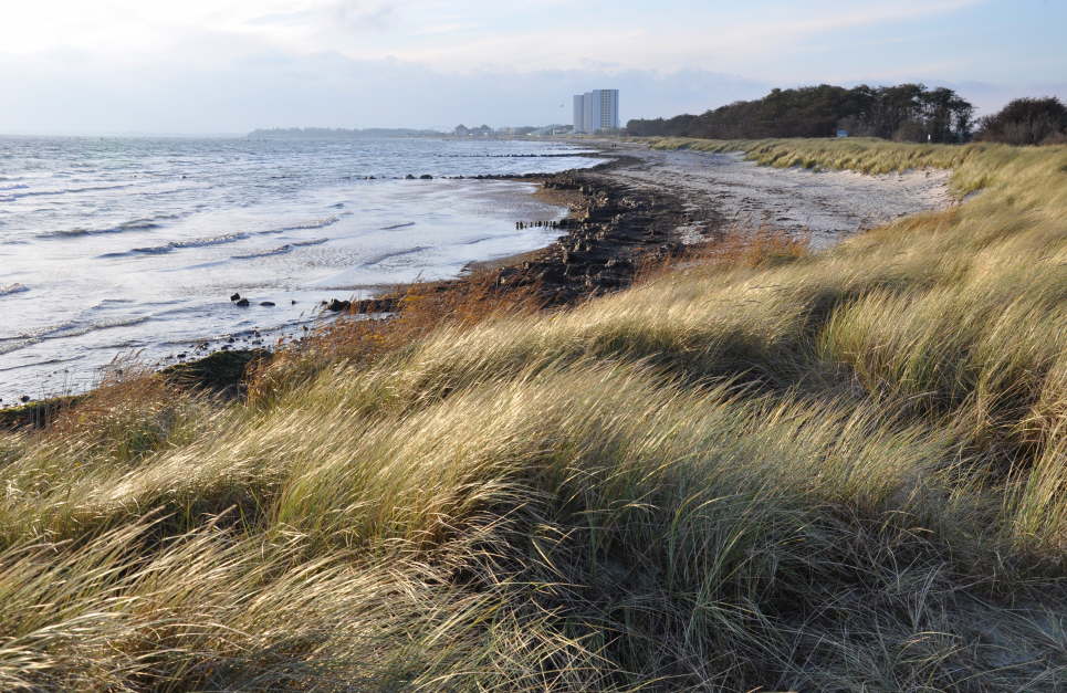 Meschendorf im Herbst