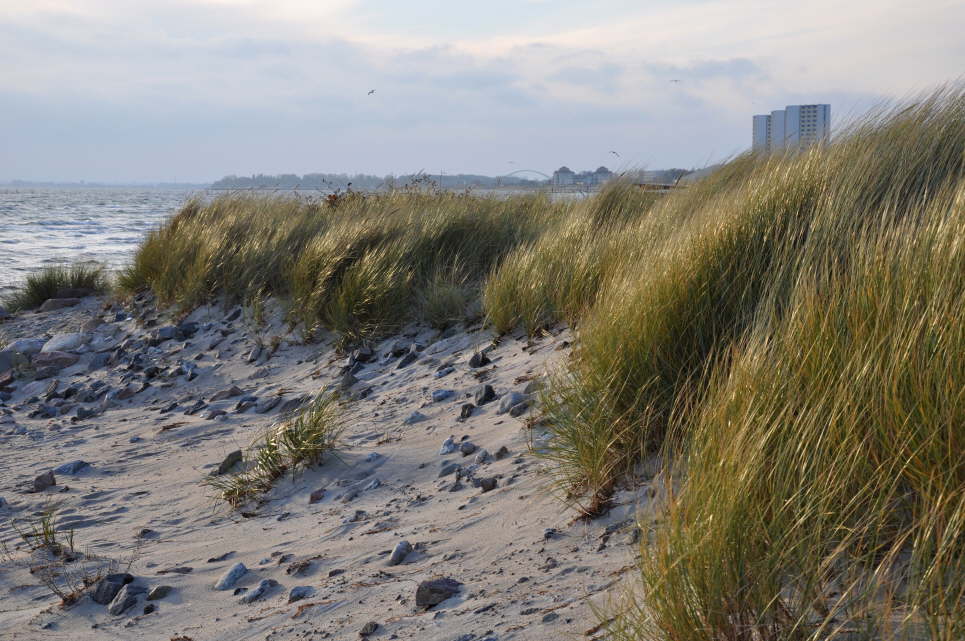 Meschendorf im Herbst