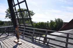 Mhlenmuseum Lemkenhafen