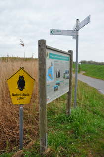 Naturschutzgebiet Krummsteert Sulsdorfer Wiek mit Informationstafeln