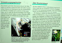 Naturschutzgebiet Krummsteert Sulsdorfer Wiek