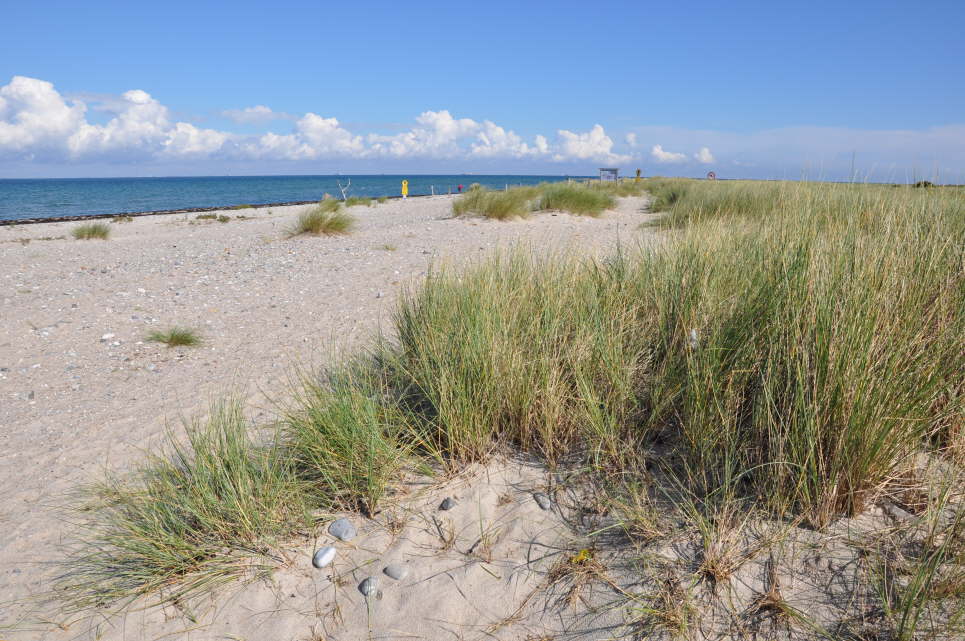 Strand beim Niobe Denkmal an der Nordkste