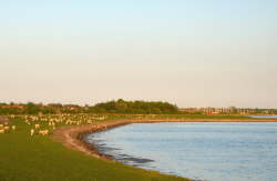 Zwischen Lemkenhafen und Orth an der Westkste