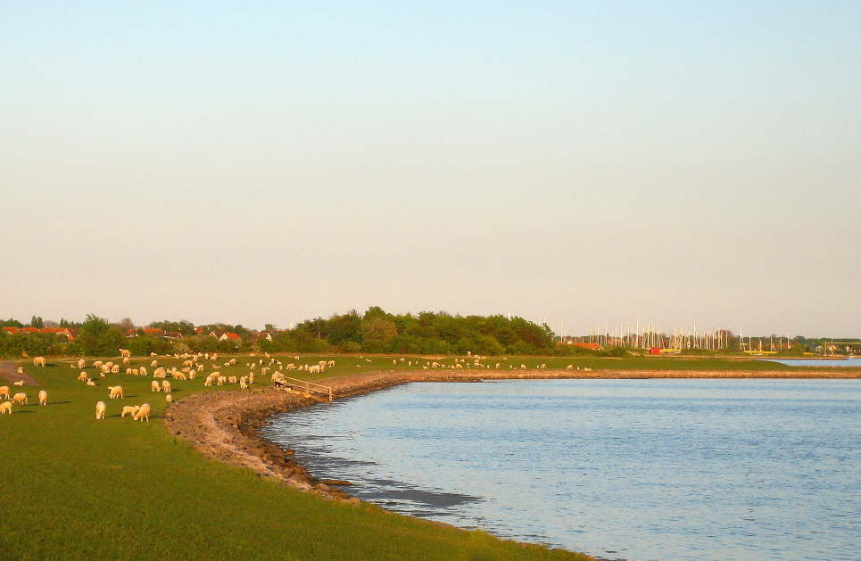 Zwischen Lemkenhafen und Orth an der Westkste