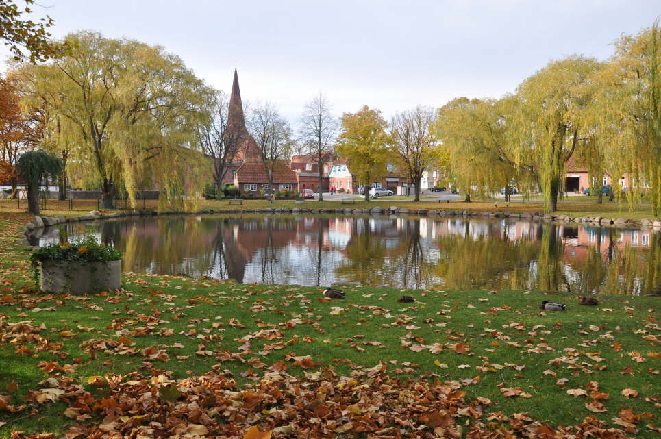 Dorfteich in Petersdorf