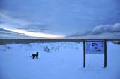P�ttsee Winter