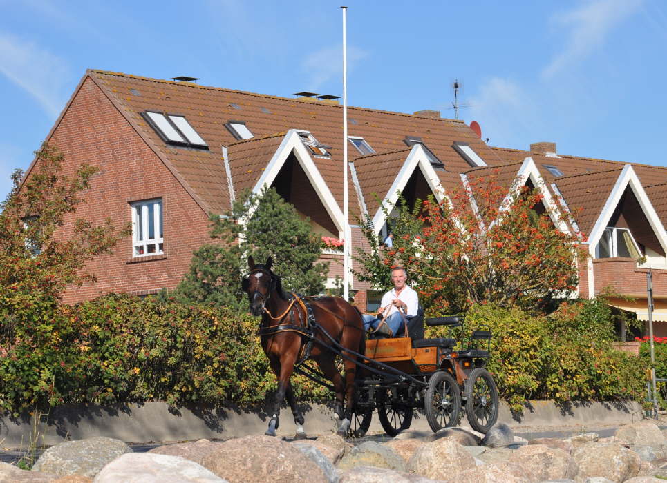 Kutschfahrt durch Lemkenhafen