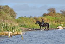 Reiten in Lemkenhafen