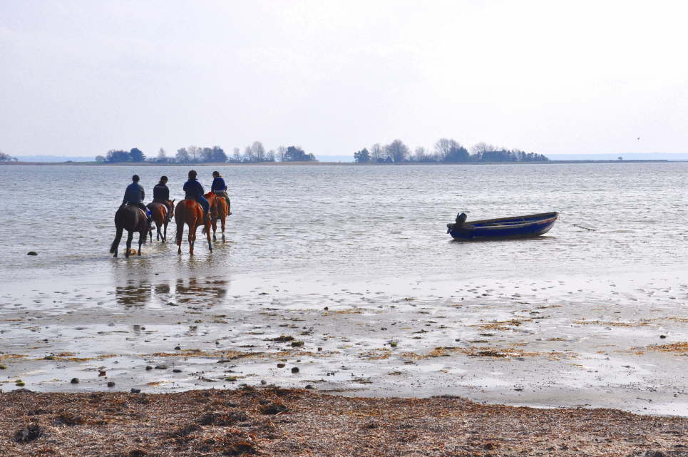 Reiten in Lemkenhafen