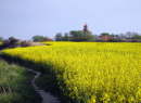 Staberhuk 