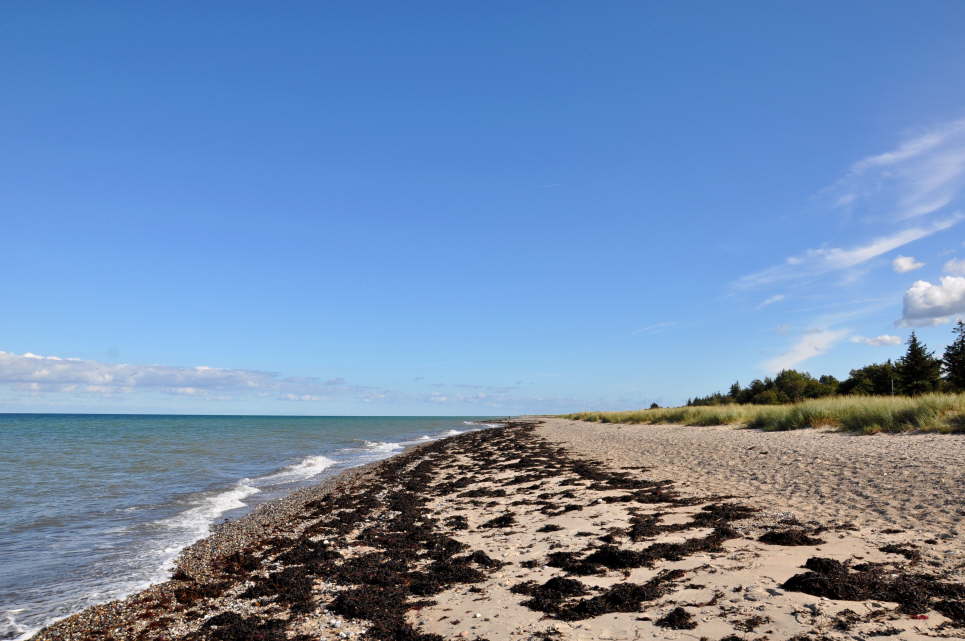 Strand Gammendorf