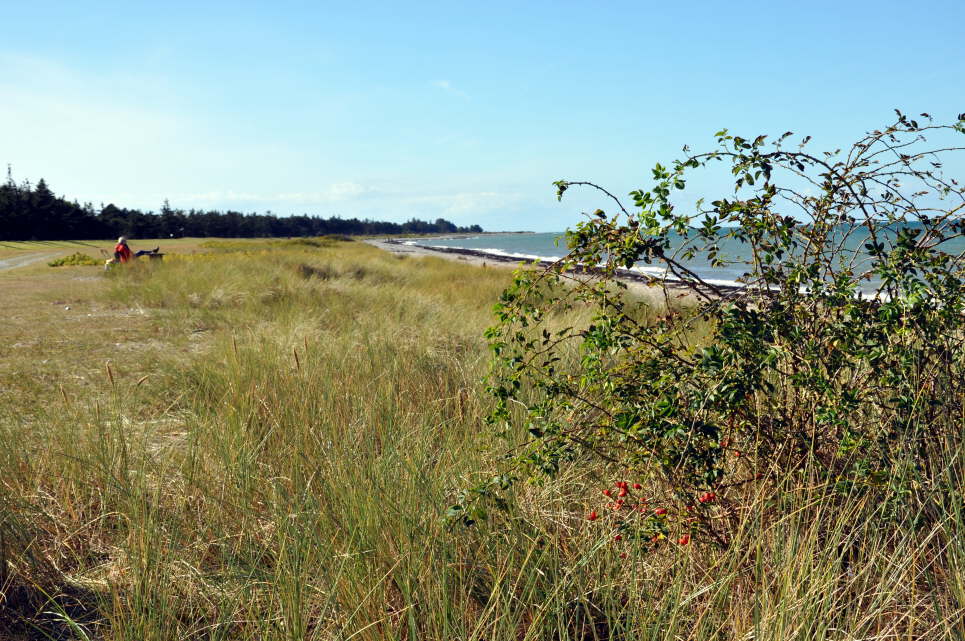 Strand Gammendorf