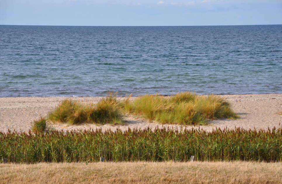 Strand Westermarkelsdorf