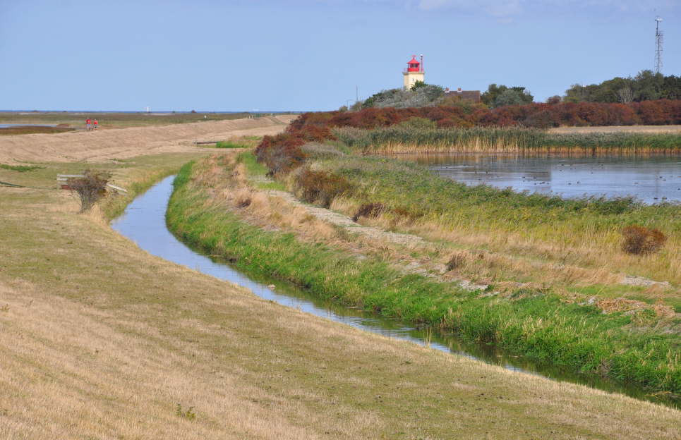 Leuchtturm Westermarkelsdorf