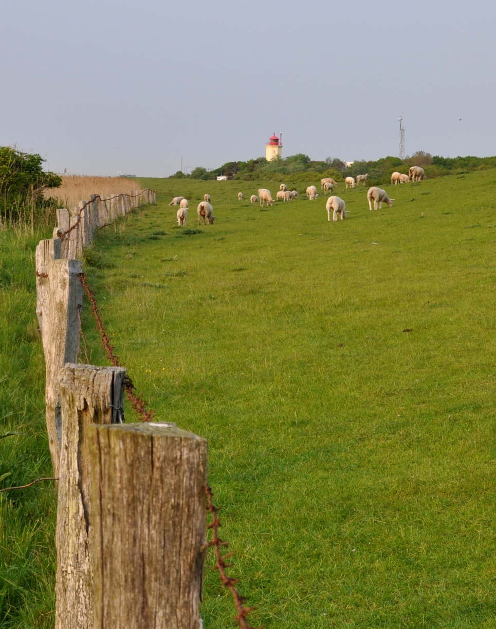 Leuchtturm Westermarkelsdorf