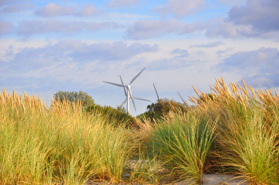 Windrder Westermarkelsdorf