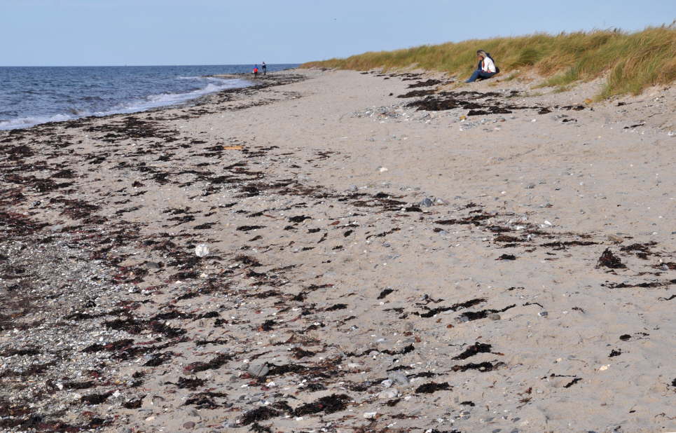 Strand Westermarkelsdorf